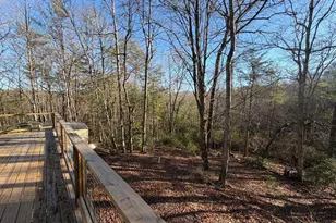 636 Bear Paw Trail, Blue Ridge, GA 30513 - Photo 39