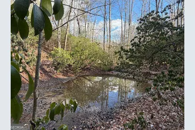 636 Bear Paw Trail, Blue Ridge, GA 30513 - Photo 69