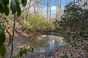 636 Bear Paw Trail, Blue Ridge, GA 30513 - Photo 69