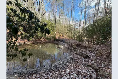 636 Bear Paw Trail, Blue Ridge, GA 30513 - Photo 61