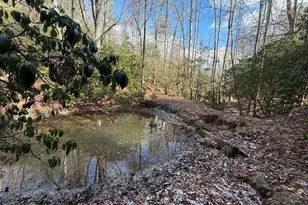 636 Bear Paw Trail, Blue Ridge, GA 30513 - Photo 61