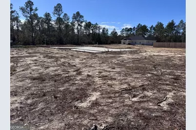 344 Jekyll Island Road, Jesup, GA 31545 - Photo 3