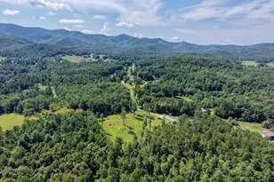 9656 Phillips Rd, Young Harris, GA 30582 - Photo 47