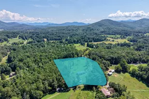 9656 Phillips Rd, Young Harris, GA 30582 - Photo 51