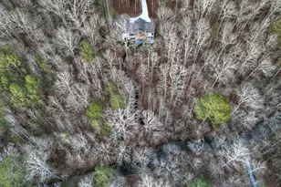 158 Treeline Ln, Ellijay, GA 30536 - Photo 79