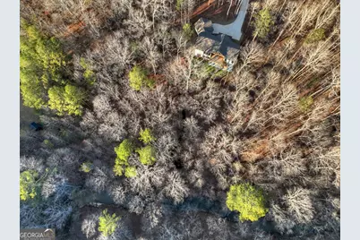 158 Tree Line Lane, Ellijay, GA 30536 - Photo 95