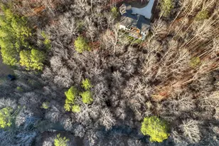 158 Treeline Ln, Ellijay, GA 30536 - Photo 95