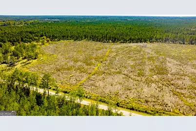 O Bay Branch Road, Claxton, GA 30417 - Photo 9