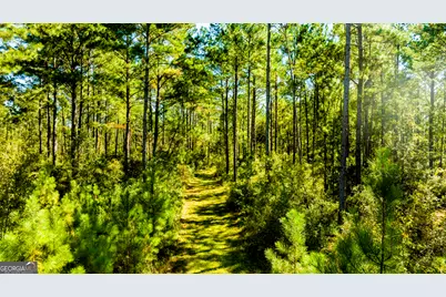 O Bay Branch Road, Claxton, GA 30417 - Photo 11