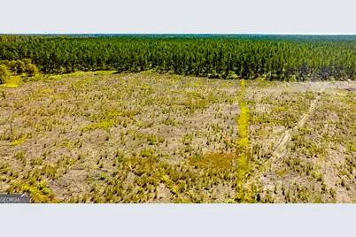 O Bay Branch Road, Claxton, GA 30417 - Photo 7