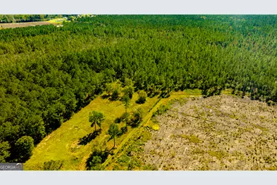 O Bay Branch Road, Claxton, GA 30417 - Photo 33