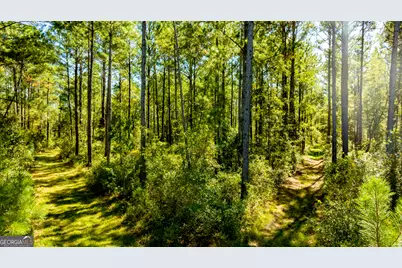 O Bay Branch Road, Claxton, GA 30417 - Photo 25