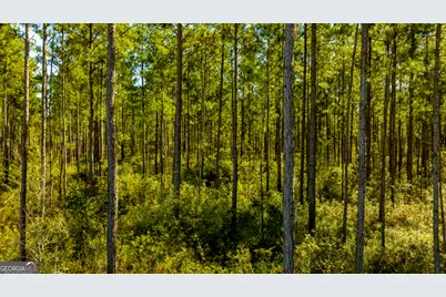 O Bay Branch Road, Claxton, GA 30417 - Photo 3