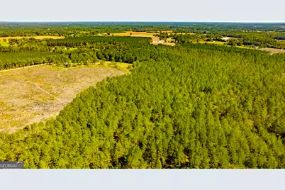 O Bay Branch Road, Claxton, GA 30417 - Photo 23