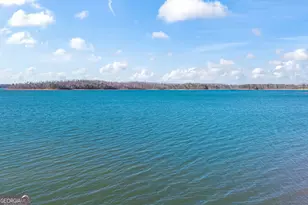 234 Chandlers Ferry Dr, Hartwell, GA 30643 - Photo 85