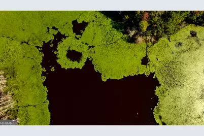 2947 Ivey Avenue, Claxton, GA 30417 - Photo 19