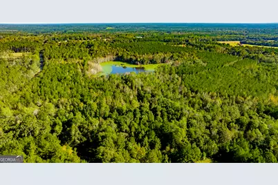 2947 Ivey Avenue, Claxton, GA 30417 - Photo 15