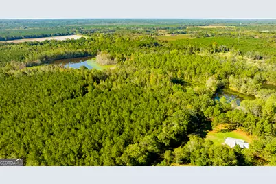 2947 Ivey Avenue, Claxton, GA 30417 - Photo 5