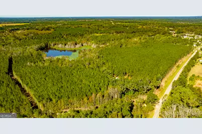 2947 Ivey Avenue, Claxton, GA 30417 - Photo 21