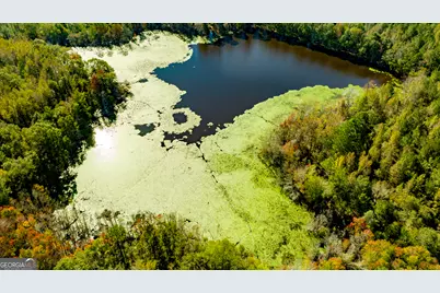 2947 Ivey Avenue, Claxton, GA 30417 - Photo 25