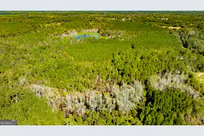 2947 Ivey Avenue, Claxton, GA 30417 - Photo 31