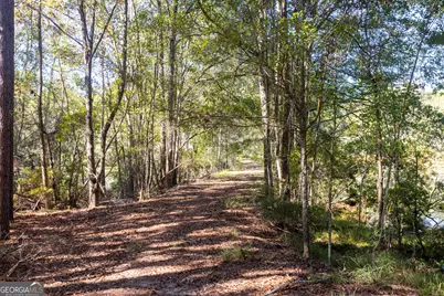 2947 Ivey Avenue, Claxton, GA 30417 - Photo 37