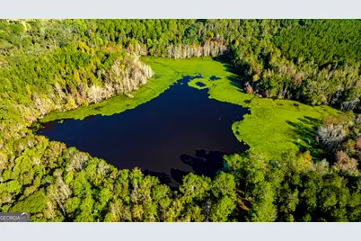 2947 Ivey Avenue, Claxton, GA 30417 - Photo 33