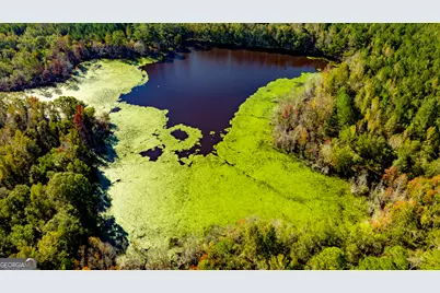 2947 Ivey Avenue, Claxton, GA 30417 - Photo 3