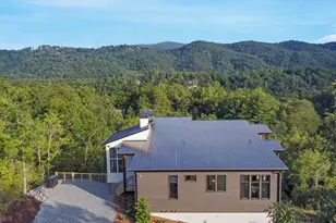 45 Eagle Watch Ct, Blue Ridge, GA 30513 - Photo 53