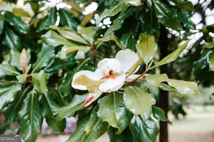 764 Sandy Cross Rd, Lexington, GA 30648 - Photo 41