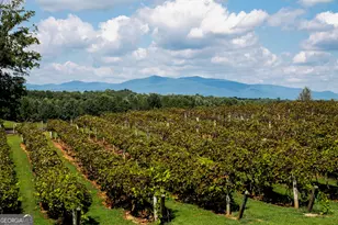 1722 High Smt Dr, Talking Rock, GA 30175 - Photo 81