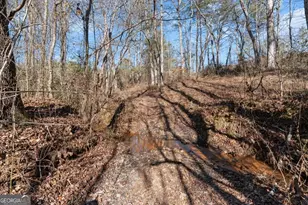 80 Hand Rd, Bowdon, GA 30108 - Photo 55