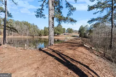 80 Hand Road, Bowdon, GA 30108 - Photo 53