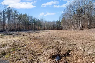 80 Hand Road, Bowdon, GA 30108 - Photo 65