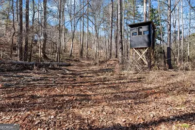 80 Hand Road, Bowdon, GA 30108 - Photo 57