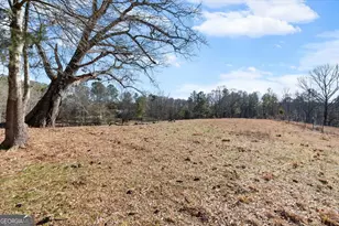 80 Hand Rd, Bowdon, GA 30108 - Photo 71