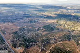 241 Foskey Cemetary Rd, Adrian, GA 31002 - Photo 59