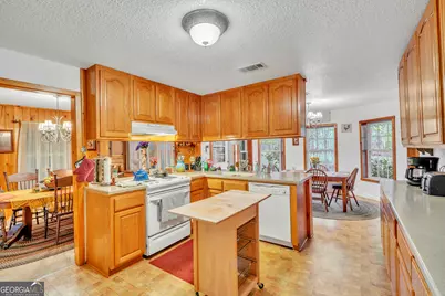 241 Foskey Cemetary Road, Adrian, GA 31002 - Photo 23