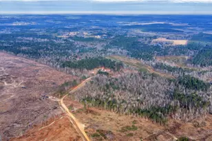 241 Foskey Cemetary Rd, Adrian, GA 31002 - Photo 69