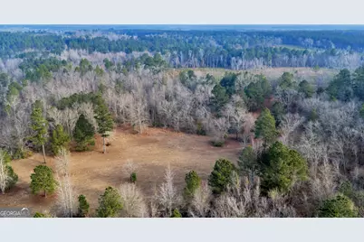 241 Foskey Cemetary Road, Adrian, GA 31002 - Photo 65