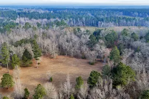 241 Foskey Cemetary Rd, Adrian, GA 31002 - Photo 65