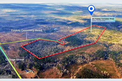 241 Foskey Cemetary Road, Adrian, GA 31002 - Photo 3