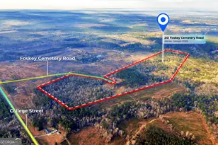 241 Foskey Cemetary Rd, Adrian, GA 31002 - Photo 3