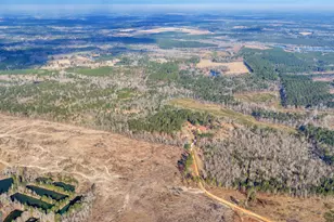 241 Foskey Cemetary Rd, Adrian, GA 31002 - Photo 55