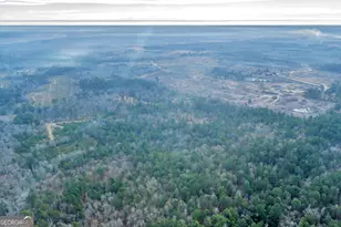 241 Foskey Cemetary Rd, Adrian, GA 31002 - Photo 77