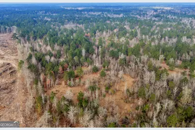 241 Foskey Cemetary Road, Adrian, GA 31002 - Photo 75