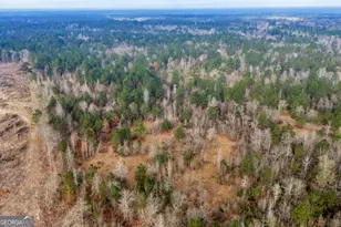 241 Foskey Cemetary Rd, Adrian, GA 31002 - Photo 75