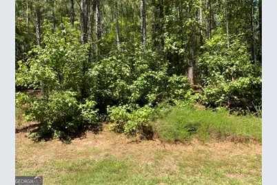 1101 Anchor Bay Circle, Greensboro, GA 30642 - Photo 3