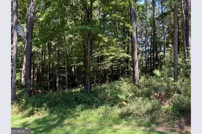 1101 Anchor Bay Circle, Greensboro, GA 30642 - Photo 5