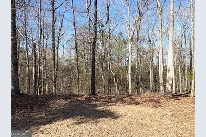 764 Hagans Mountain Road, Meansville, GA 30256 - Photo 29